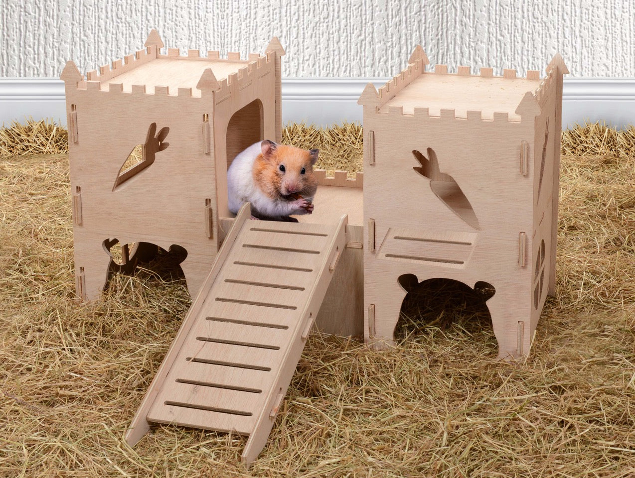 Double-turret, tunnel & ramp (Hamster)