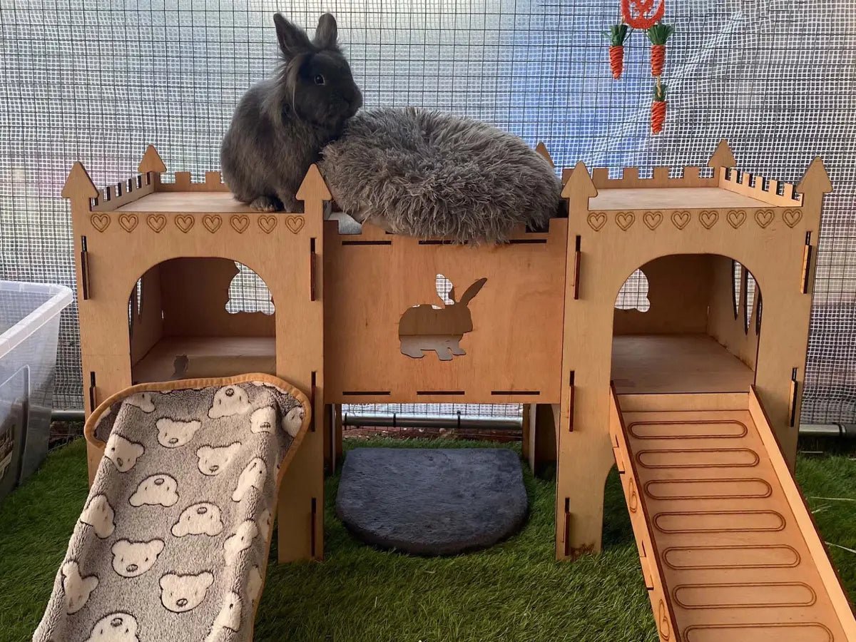 Double-storey Turrets, Double Ramp & Bridge (Rabbit) - Pet Palaces