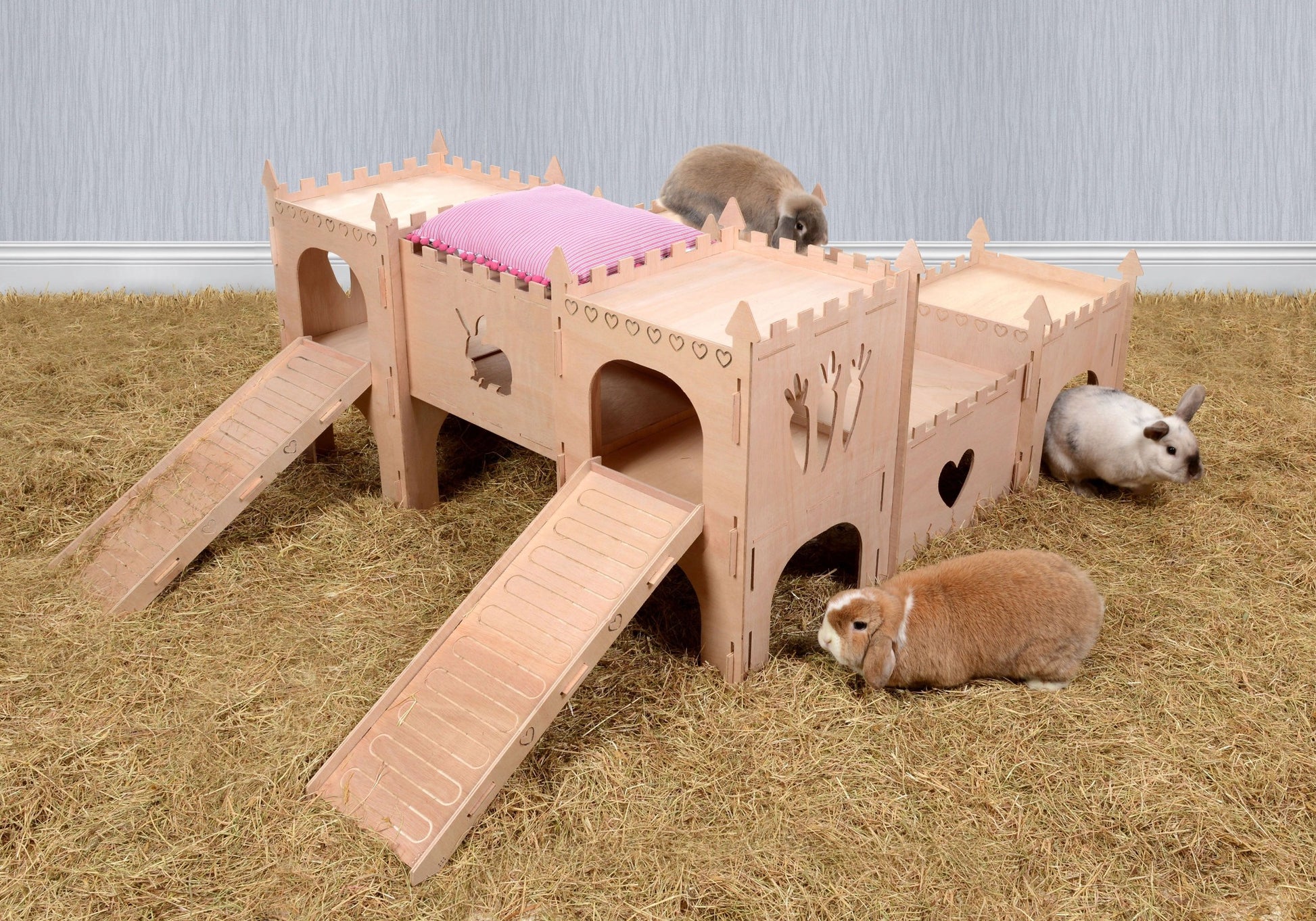 The Quad (Rabbit) - Pet Palaces